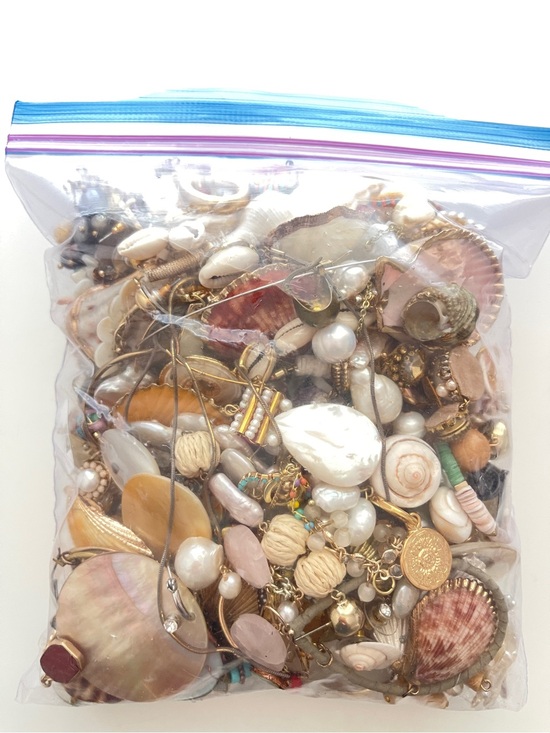 Anthropologie Jewelry - New Lot of Single Shell Earrings